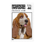 Basset Hound Postage