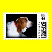 Basset Hound Postage postage
