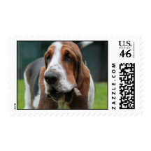 Basset Hound Postage