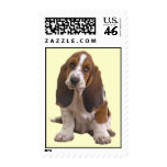 Basset Hound Postage Stamp