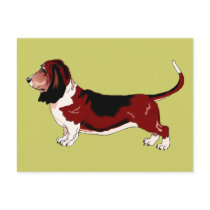 Basset Hound Post Card