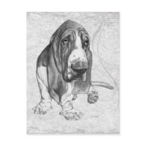 Basset Hound Postcards