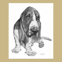 Basset Hound posters