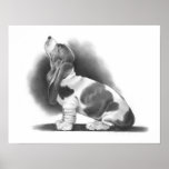 BASSET HOUND POSTER: PENCIL REALISM ART