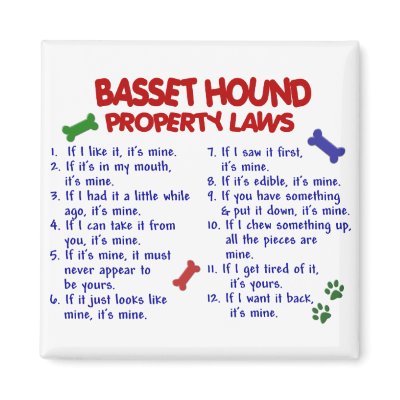 BASSET HOUND Property Laws 2 Magnet by poochloverstuff