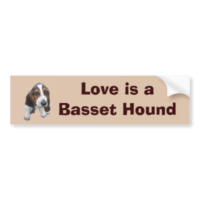 Basset Hound Puppy Bumper Sticker by normagolden