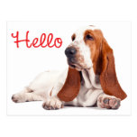 Basset Hound Puppy Dog Red Hello Thinking of You Postcard