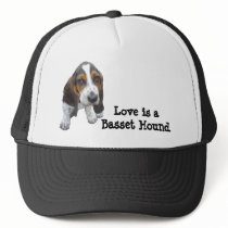 Basset Hound Puppy Hat