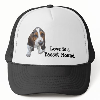 Basset Hound Puppy Hat by normagolden