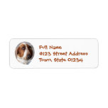 Basset Hound Puppy Mailing Label