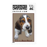 Basset Hound Puppy Postage Stamp
