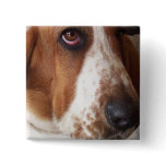 Basset Hound Puppy Square Pin