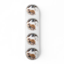 Basset Hound Skateboard