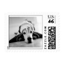 Basset Hound Small Postage postage