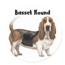 Basset Hound Round Stickers