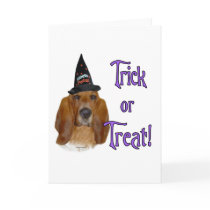 Basset Hound Trick cards