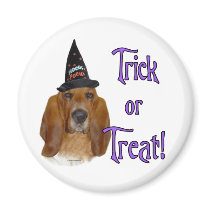 Basset Hound Trick Refrigerator Magnets