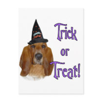 Basset Hound Trick postcards