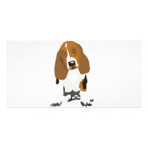 Basset Hound's photo cards