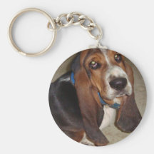 Basset Joe Chaveiros