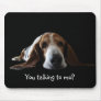 Basset mouse pad , You talking to me?
