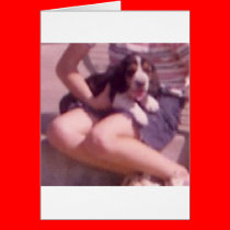 Basset_On_Lap cards