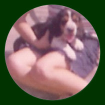 Basset_On_Lap stickers by mydoggieworld Basset_On_Lap stickers