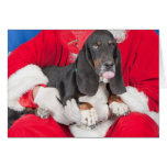 Basset Sticking Tongue Out on Santa's Lap Greeting Cards