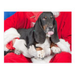 Basset Sticking Tongue Out on Santa's Lap Post Card
