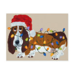 Basset Tangled In Christmas Lights postcards