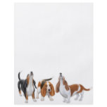 Basset Trio Flyer