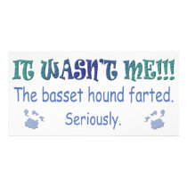 BassetHound Photo Cards