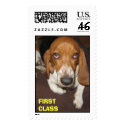 Bassett FIRST CLASS postage by APOTTER Bassett FIRST CLASS postage