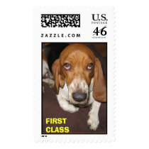 Bassett FIRST CLASS postage by APOTTER Bassett FIRST CLASS postage
