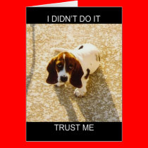Bassett Hound Cards cards