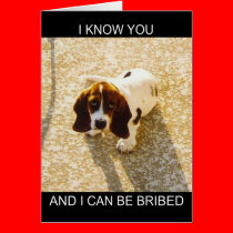 Bassett Hound Cards cards