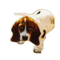 Bassett Hound Puppy photo sculptures