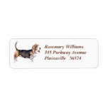 return, address, label, bassett, hound, dog,