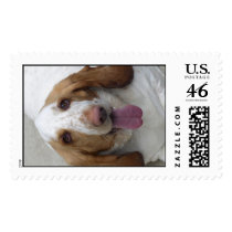 bassetthound postage