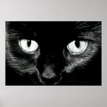 Bast Poster