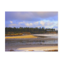 Bastendorf Beach postcards