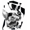 BASTET t-shirts by nefera BASTET t-shirts