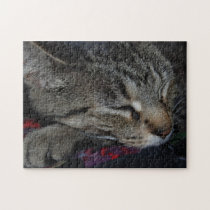 Bastet's Nap Puzzle puzzles