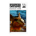 bastet's soul overseas postage