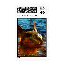 bastet's soul overseas postage