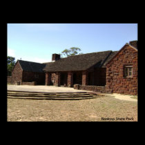 Bastrop State Park Poster posters