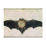 Bat, 1522 post cards
