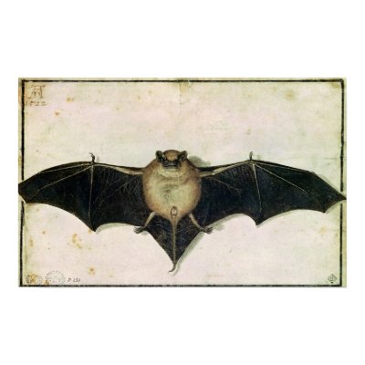 Bat, 1522 print by bridgemanart