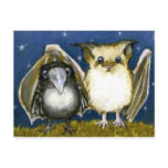 bat and raven postcards