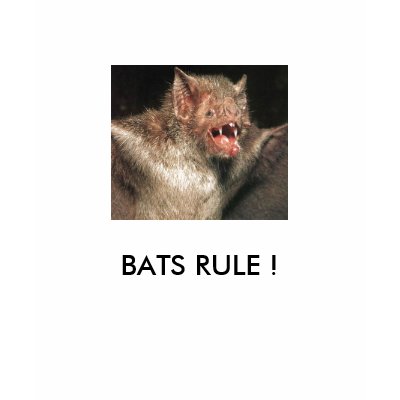 bat, BATS RULE ! T Shirts by James101